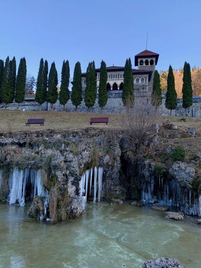 Castelul Cantacuzino Busteni Exterior photo